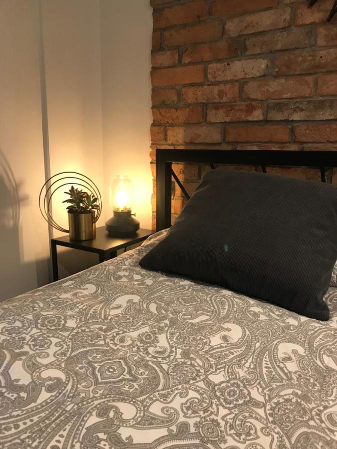 Apartament Ko-Piernika w Toruniu, w Sercu toruńskiej Starówki Exterior foto